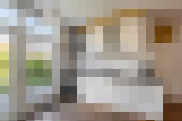 Diemenlaan 52 Emmeloord thumbnail 21