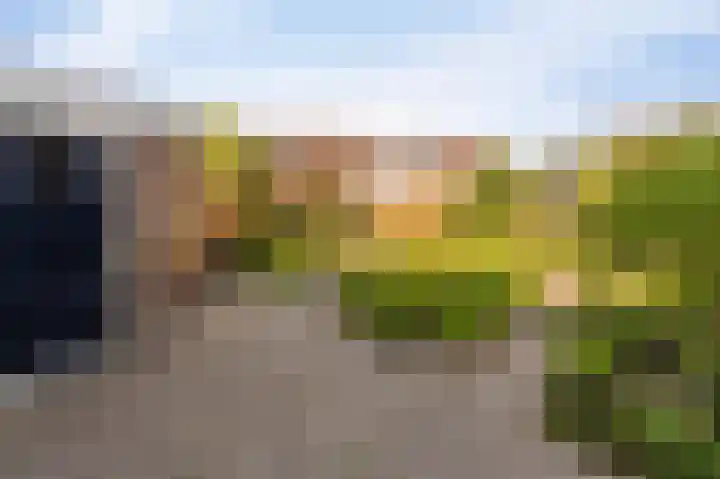 Diemenlaan 52 Emmeloord thumbnail 25