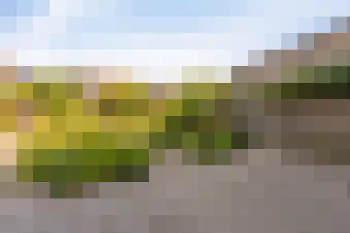 Diemenlaan 52 Emmeloord thumbnail 29