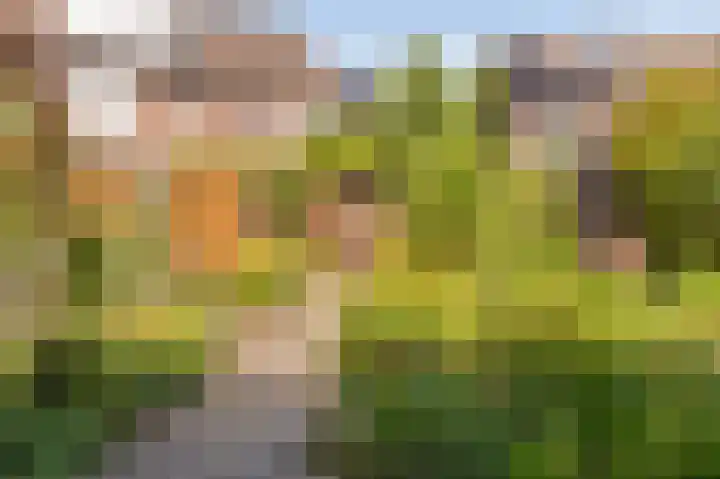 Diemenlaan 52 Emmeloord thumbnail 30