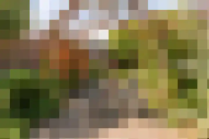 Diemenlaan 52 Emmeloord thumbnail 31
