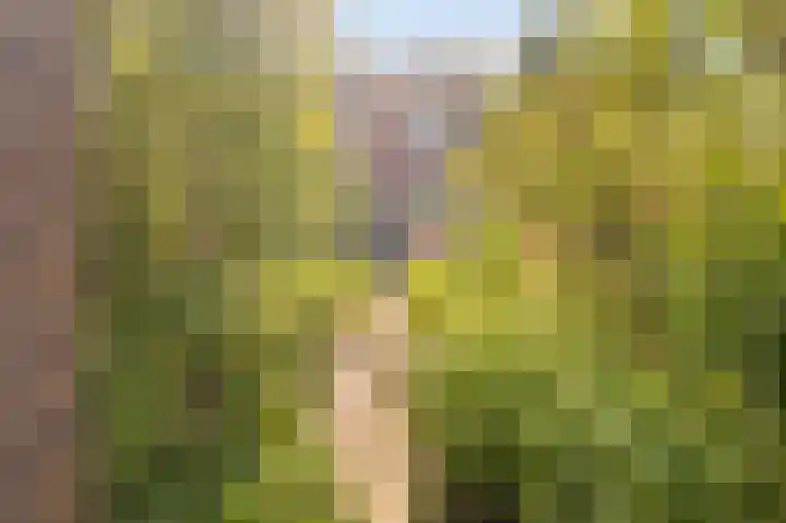 Diemenlaan 52 Emmeloord thumbnail 35