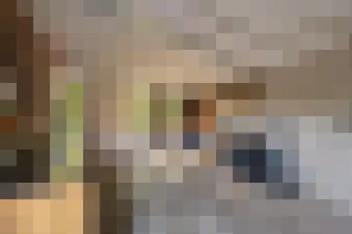 Diemenlaan 52 Emmeloord thumbnail 4