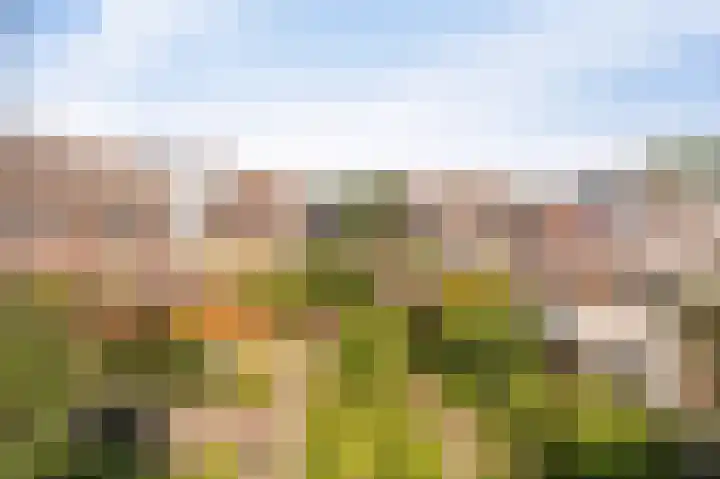 Diemenlaan 52 Emmeloord thumbnail 40