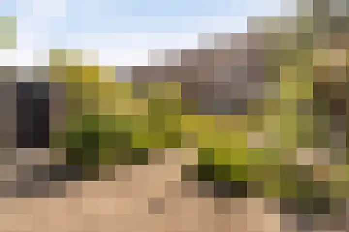 Diemenlaan 52 Emmeloord thumbnail 5