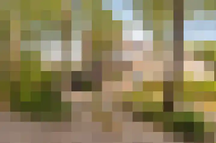 Diemenlaan 52 Emmeloord thumbnail 6