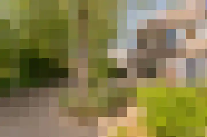 Diemenlaan 52 Emmeloord thumbnail 8