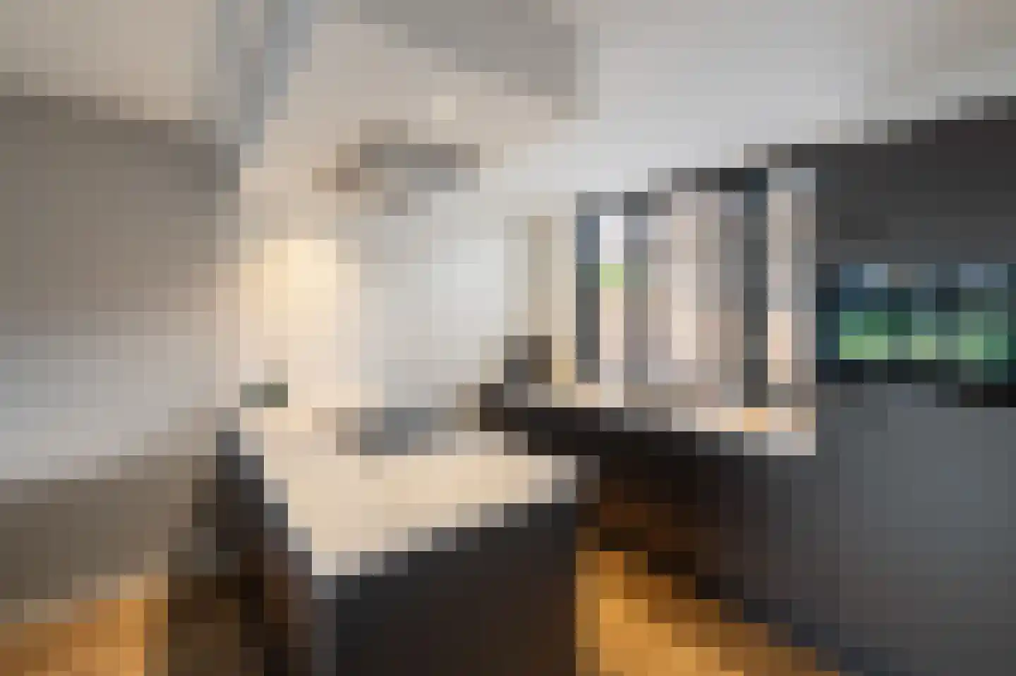 Diemenlaan 53 Emmeloord thumbnail 18