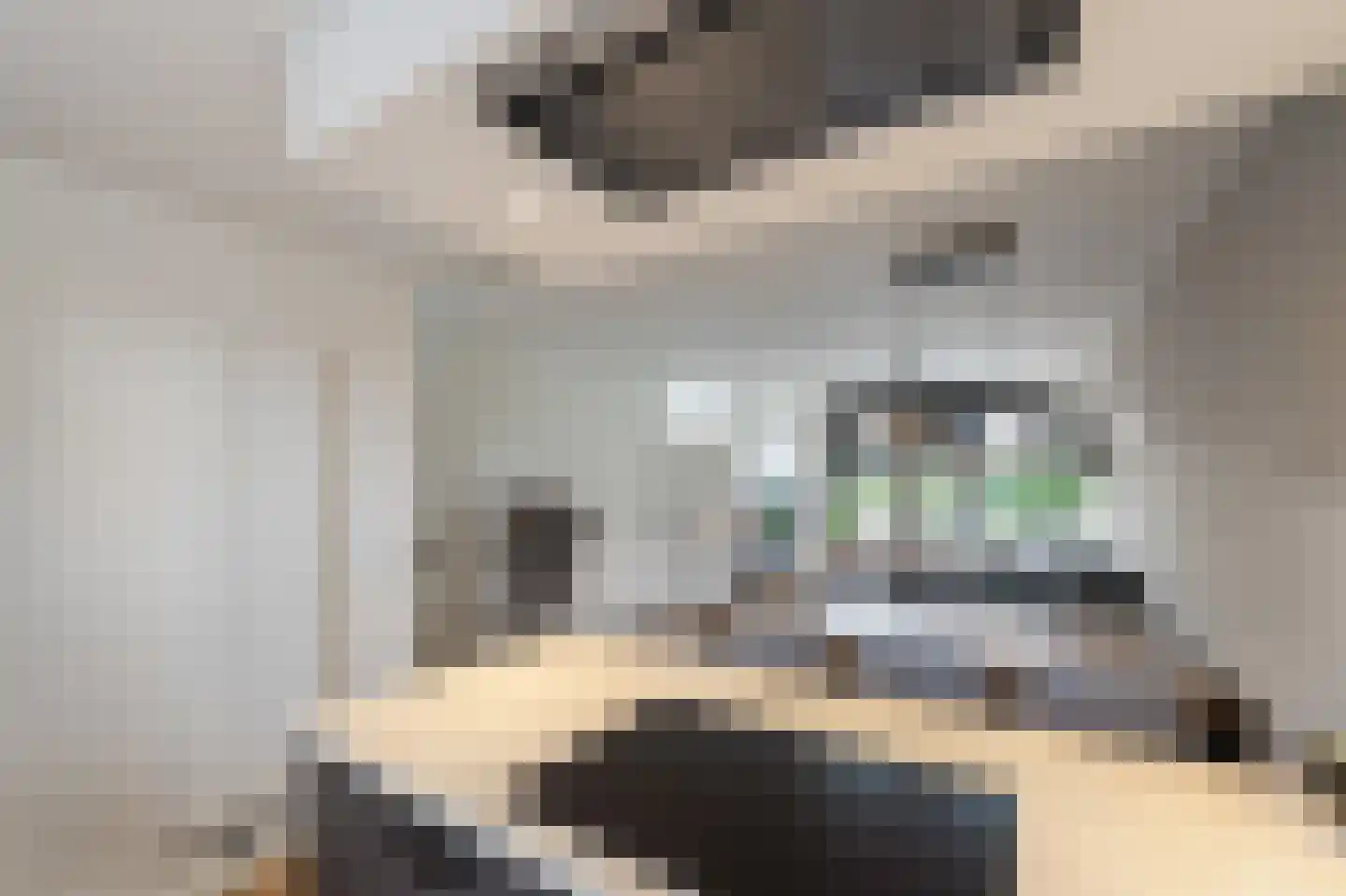 Diemenlaan 53 Emmeloord thumbnail 19