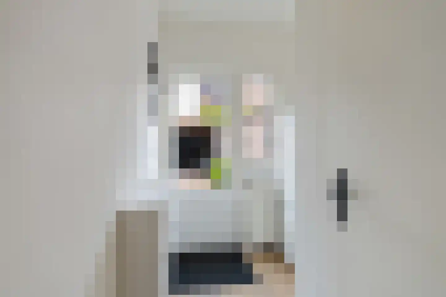 Diemenlaan 53 Emmeloord thumbnail 21