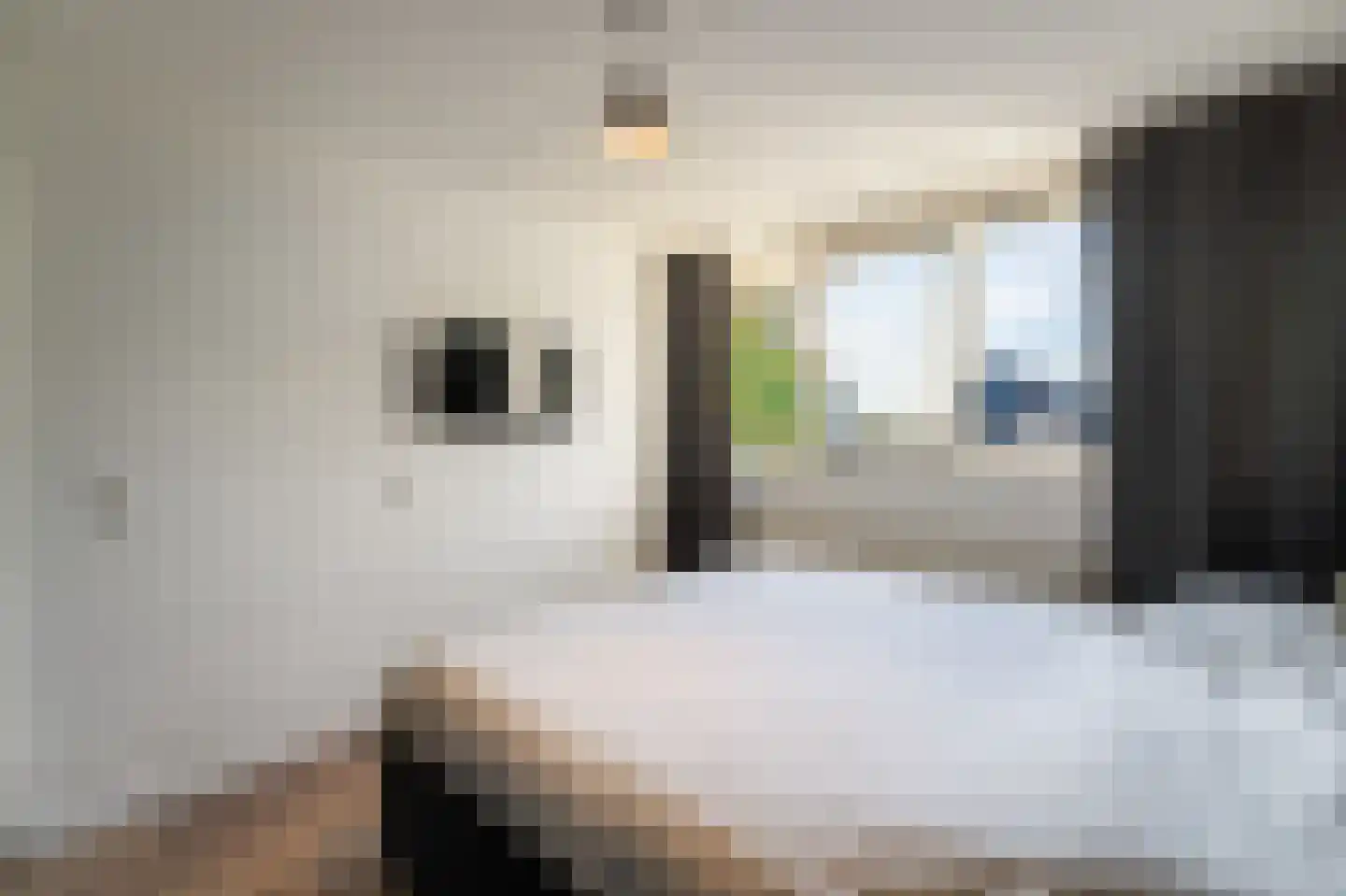 Diemenlaan 53 Emmeloord thumbnail 31
