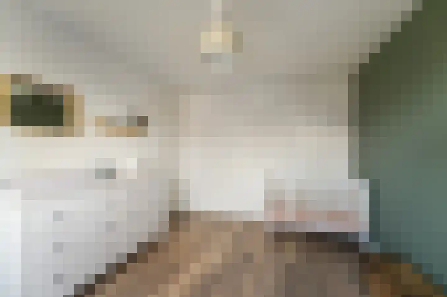 Diemenlaan 53 Emmeloord thumbnail 35