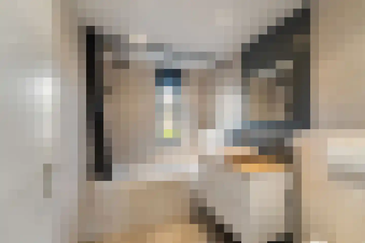 Diemenlaan 53 Emmeloord thumbnail 38