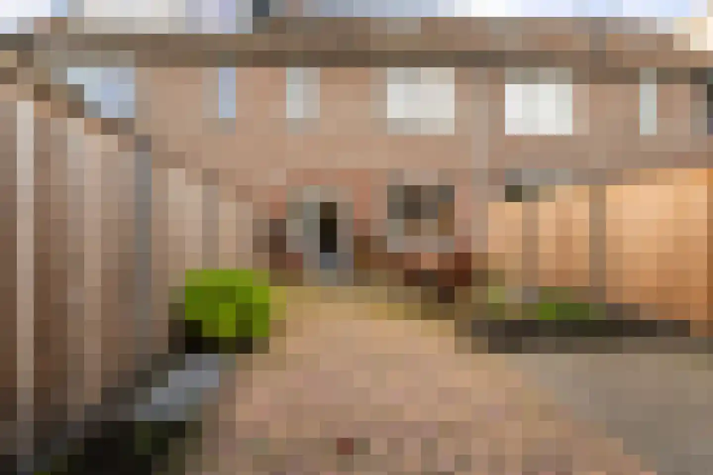 Diemenlaan 53 Emmeloord thumbnail 5