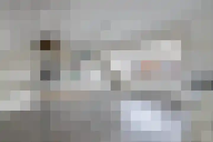 Diemenlaan 59 Emmeloord thumbnail 25