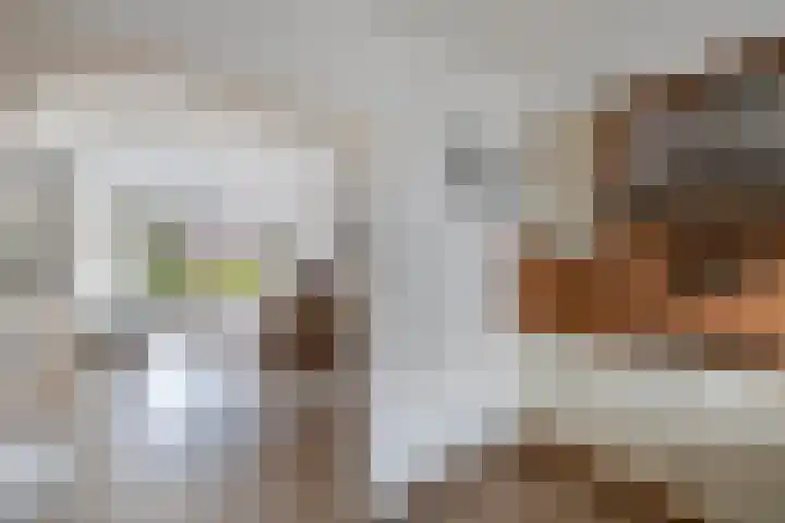 Diemenlaan 59 Emmeloord thumbnail 4