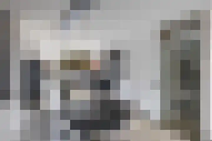Diemenlaan 63 Emmeloord thumbnail 12