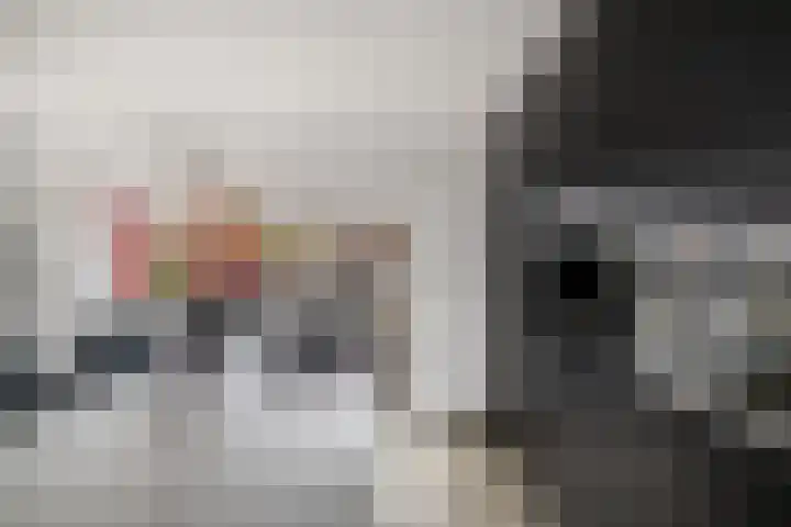 Diemenlaan 63 Emmeloord thumbnail 16