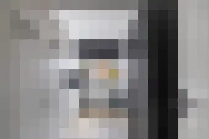 Diemenlaan 63 Emmeloord thumbnail 24