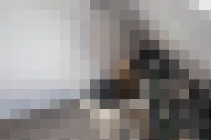 Diemenlaan 63 Emmeloord thumbnail 29