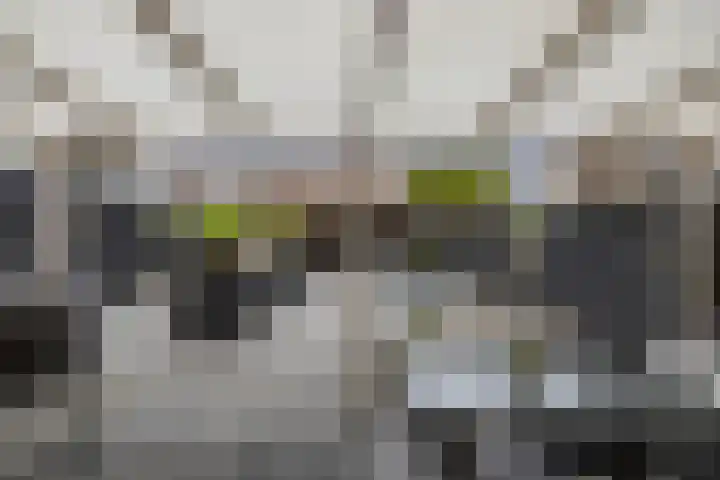 Diemenlaan 63 Emmeloord thumbnail 30