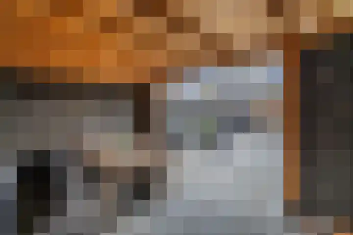 Diemenlaan 63 Emmeloord thumbnail 33