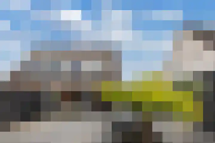 Diemenlaan 63 Emmeloord thumbnail 36