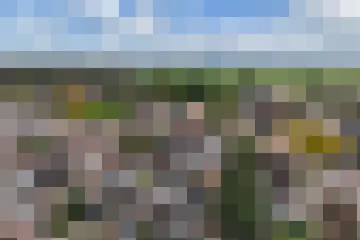 Diemenlaan 63 Emmeloord thumbnail 38