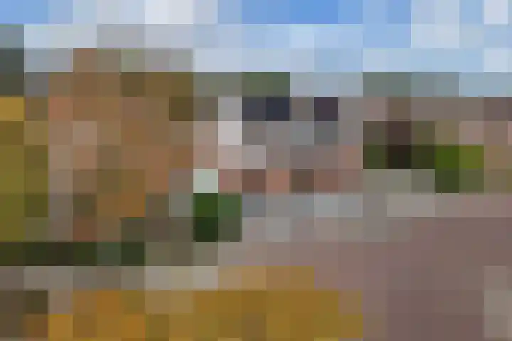 Diemenlaan 63 Emmeloord thumbnail 40