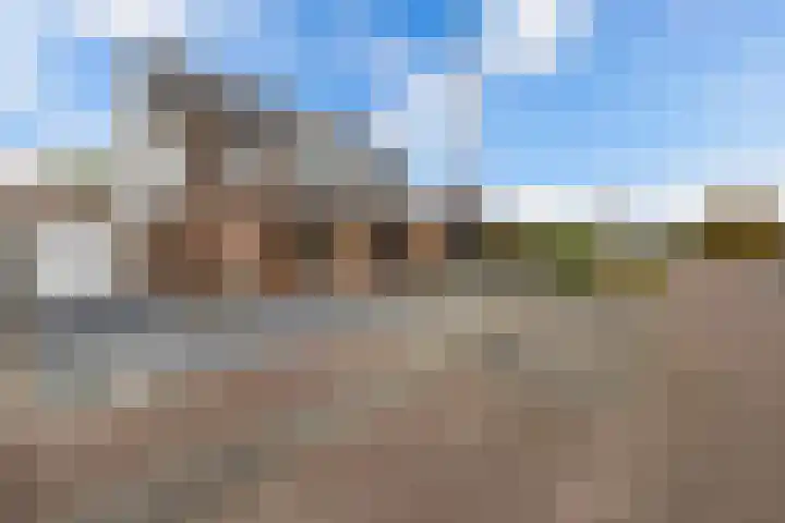 Diemenlaan 63 Emmeloord thumbnail 5