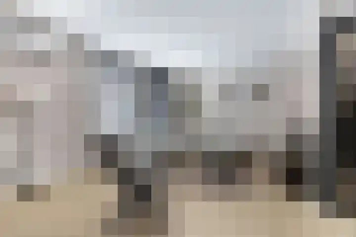 Diemenlaan 65 Emmeloord thumbnail 10