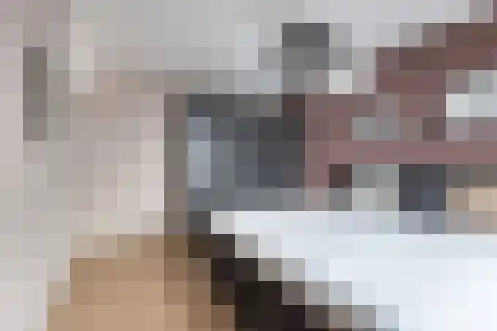 Diemenlaan 65 Emmeloord thumbnail 19