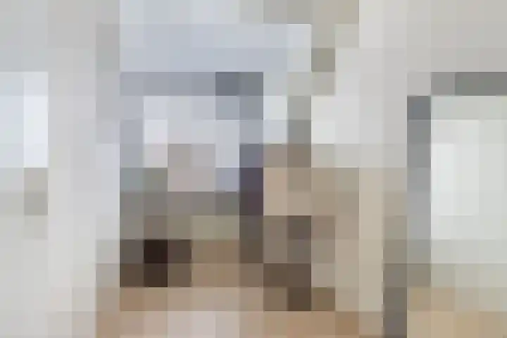 Diemenlaan 65 Emmeloord thumbnail 22