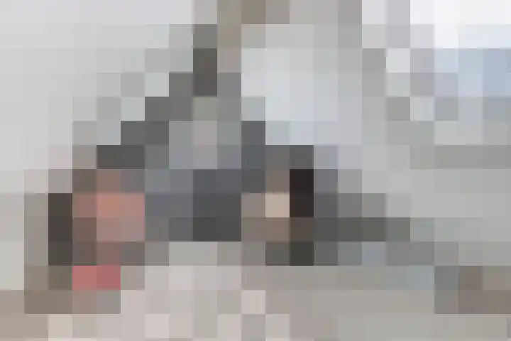 Diemenlaan 65 Emmeloord thumbnail 27