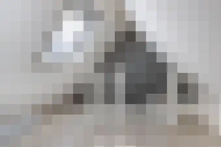 Diemenlaan 65 Emmeloord thumbnail 28