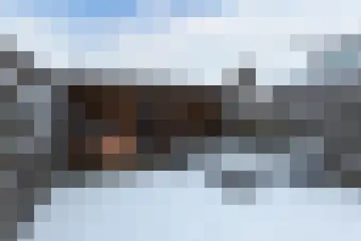 Diemenlaan 65 Emmeloord thumbnail 29