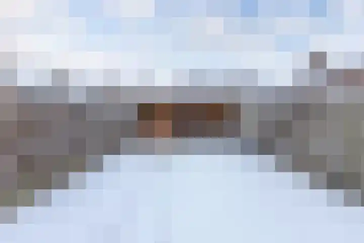Diemenlaan 65 Emmeloord thumbnail 30