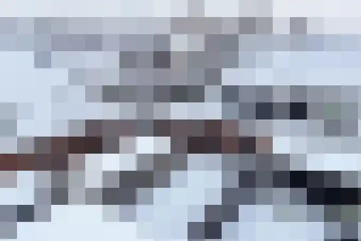 Diemenlaan 65 Emmeloord thumbnail 35