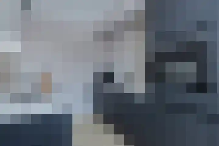 Diemenlaan 65 Emmeloord thumbnail 4