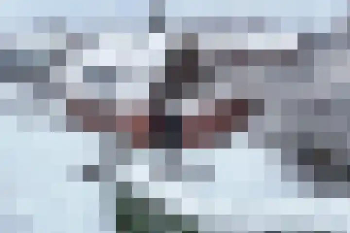 Diemenlaan 65 Emmeloord thumbnail 40