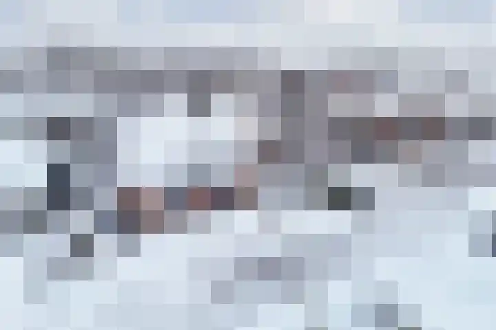 Diemenlaan 65 Emmeloord thumbnail 41