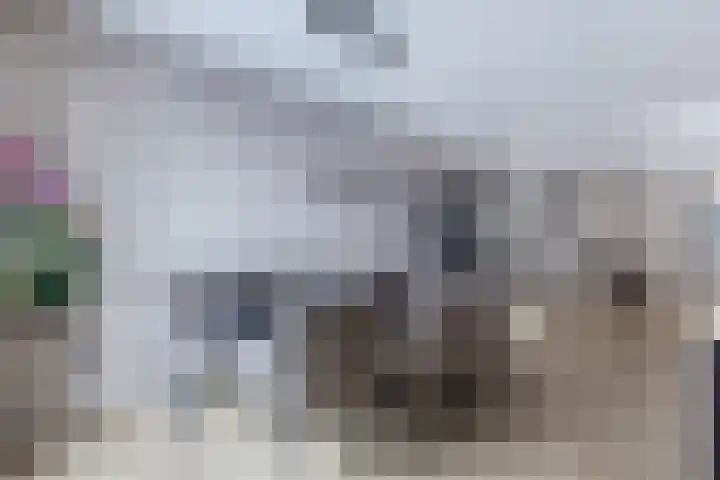 Diemenlaan 65 Emmeloord thumbnail 7