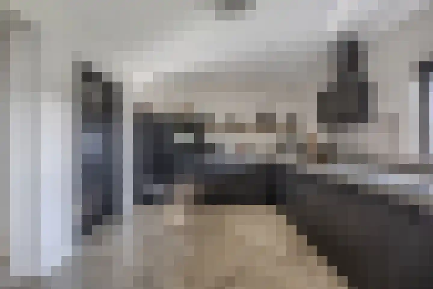 Diemenlaan 72 Emmeloord thumbnail 25