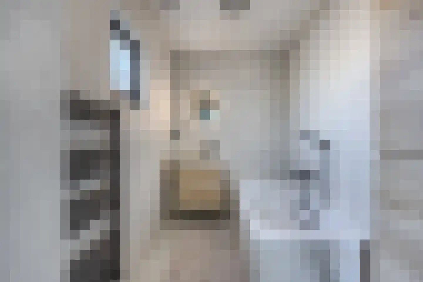 Diemenlaan 72 Emmeloord thumbnail 31