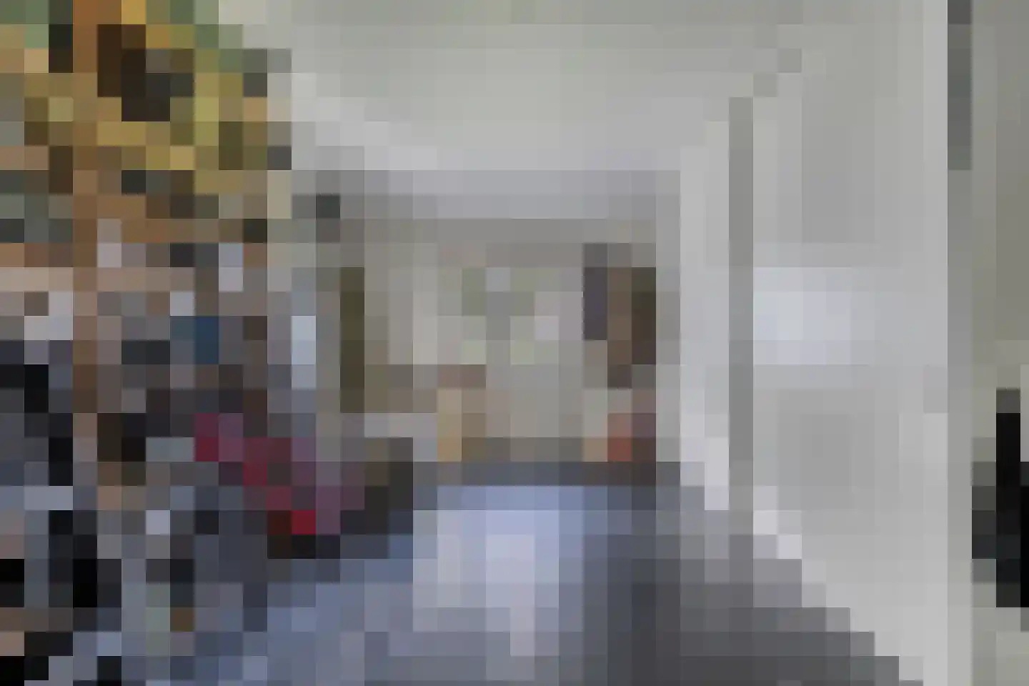 Diemenlaan 72 Emmeloord thumbnail 33