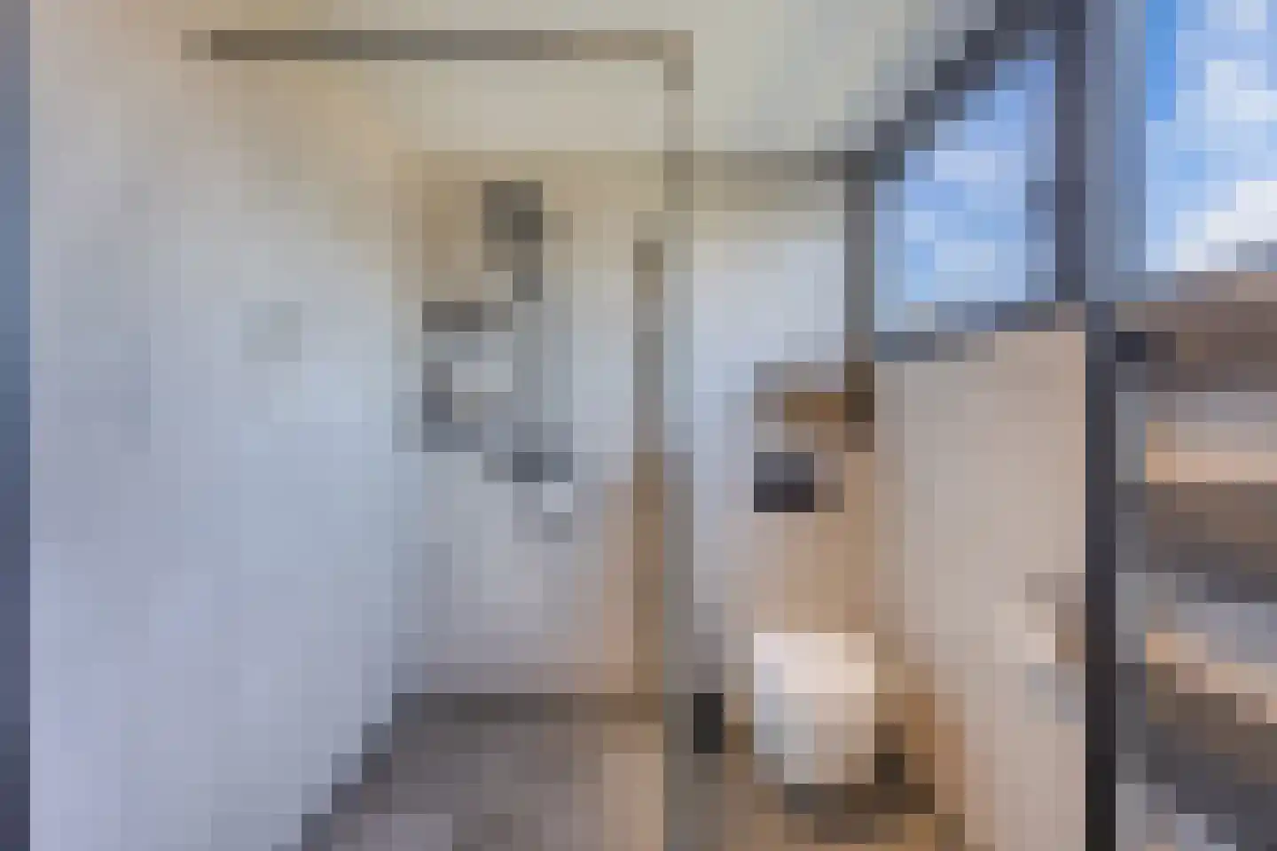 Diemenlaan 72 Emmeloord thumbnail 43