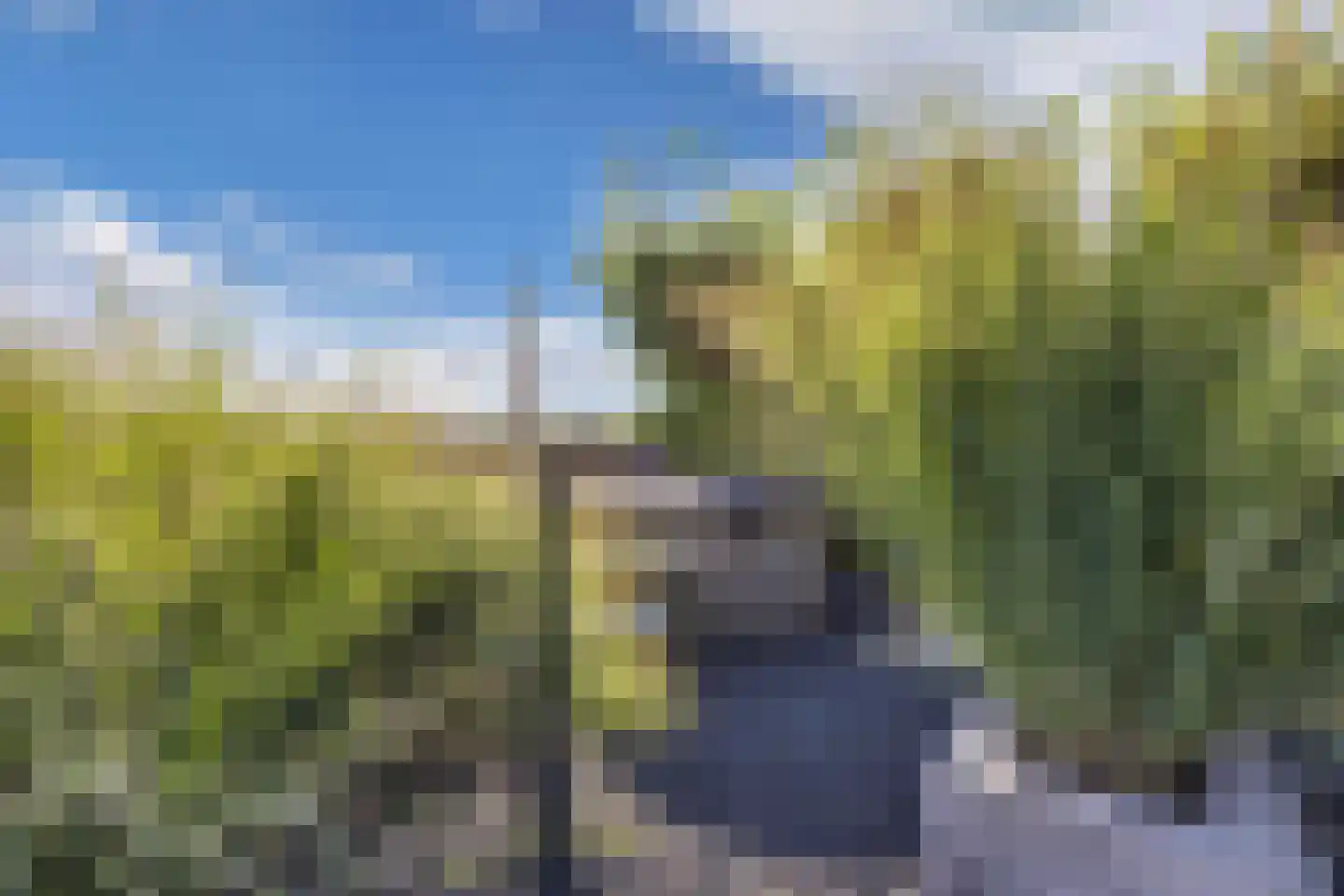 Diemenlaan 72 Emmeloord thumbnail 57