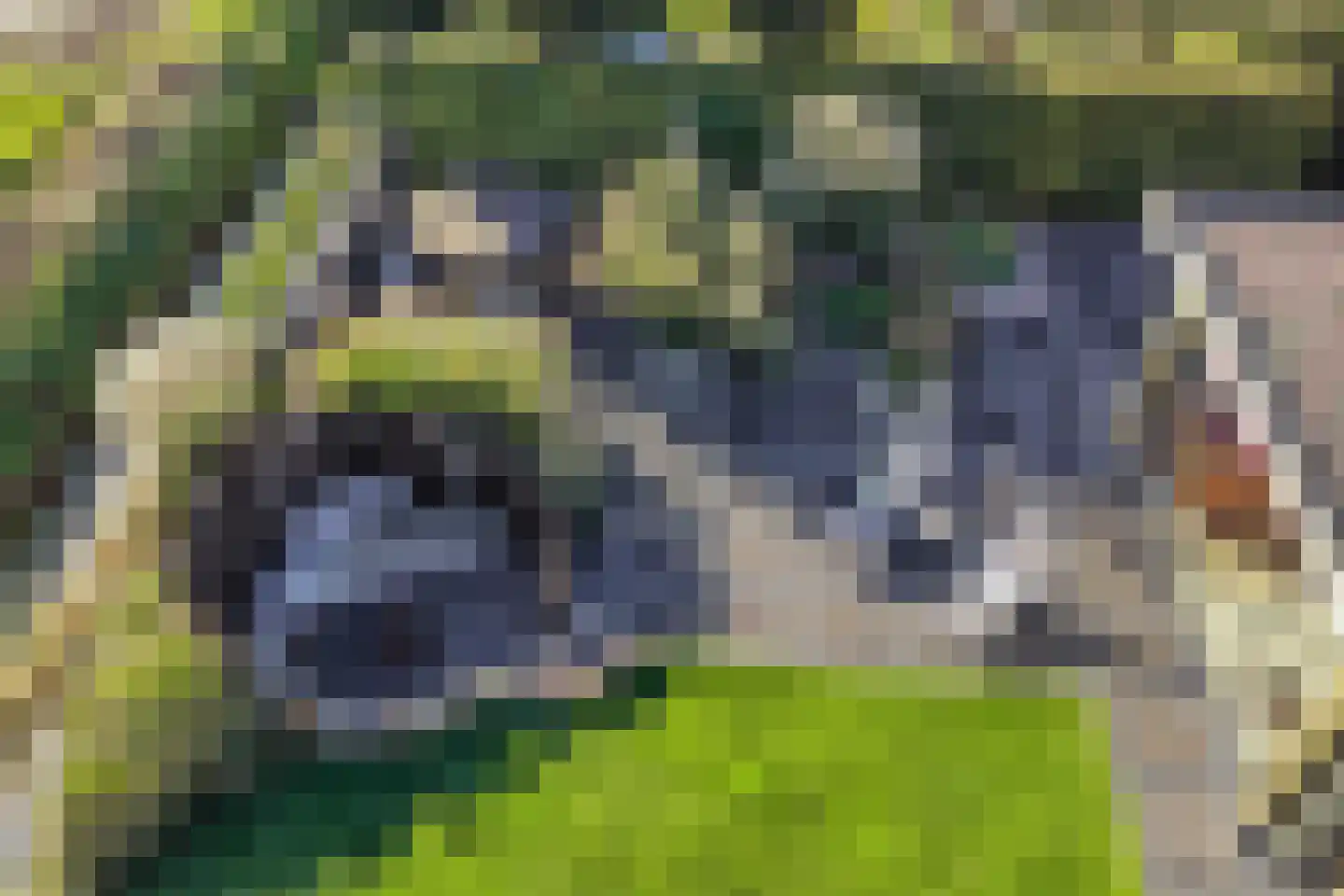 Diemenlaan 72 Emmeloord thumbnail 64