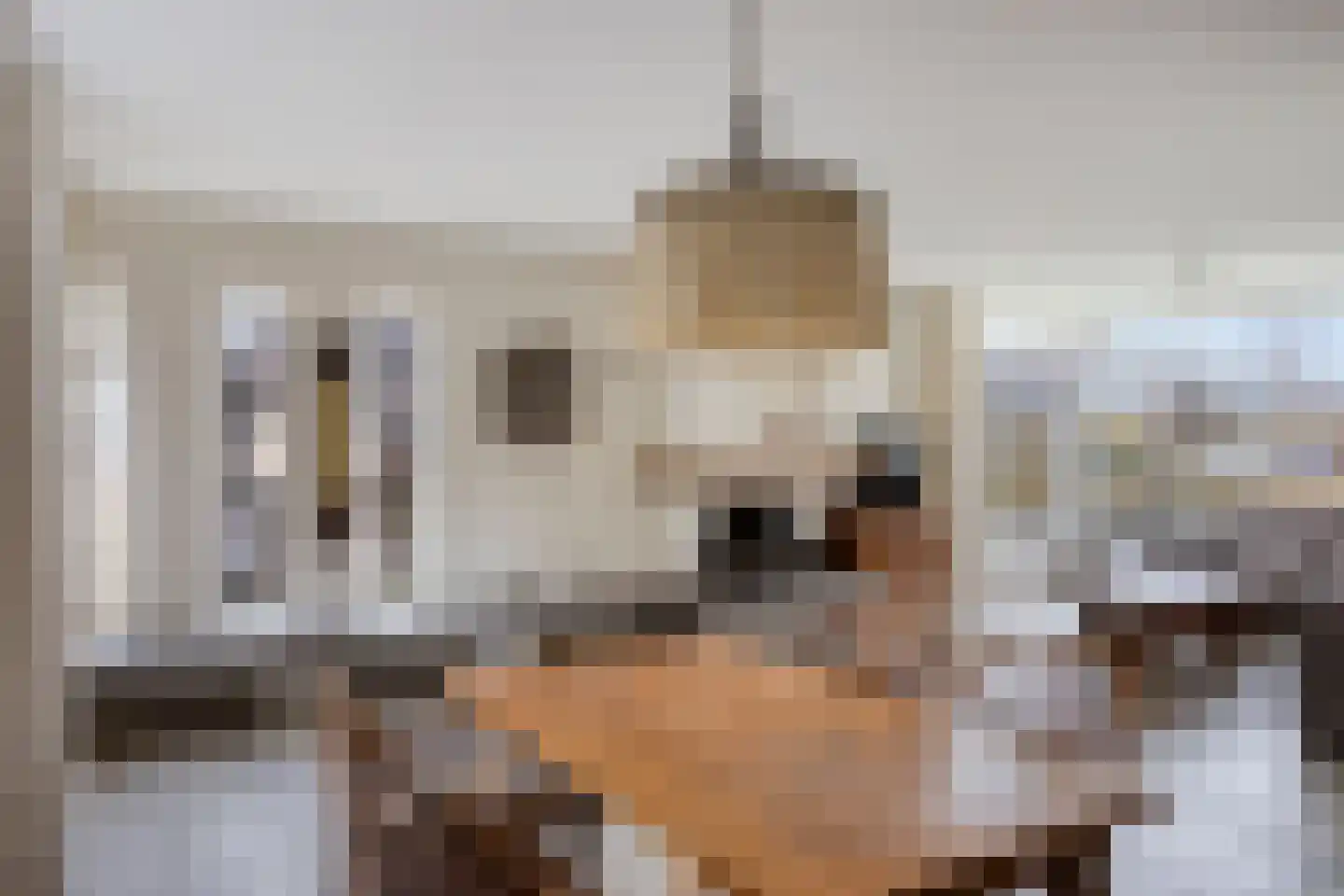 Diemenlaan 90 Emmeloord thumbnail 17