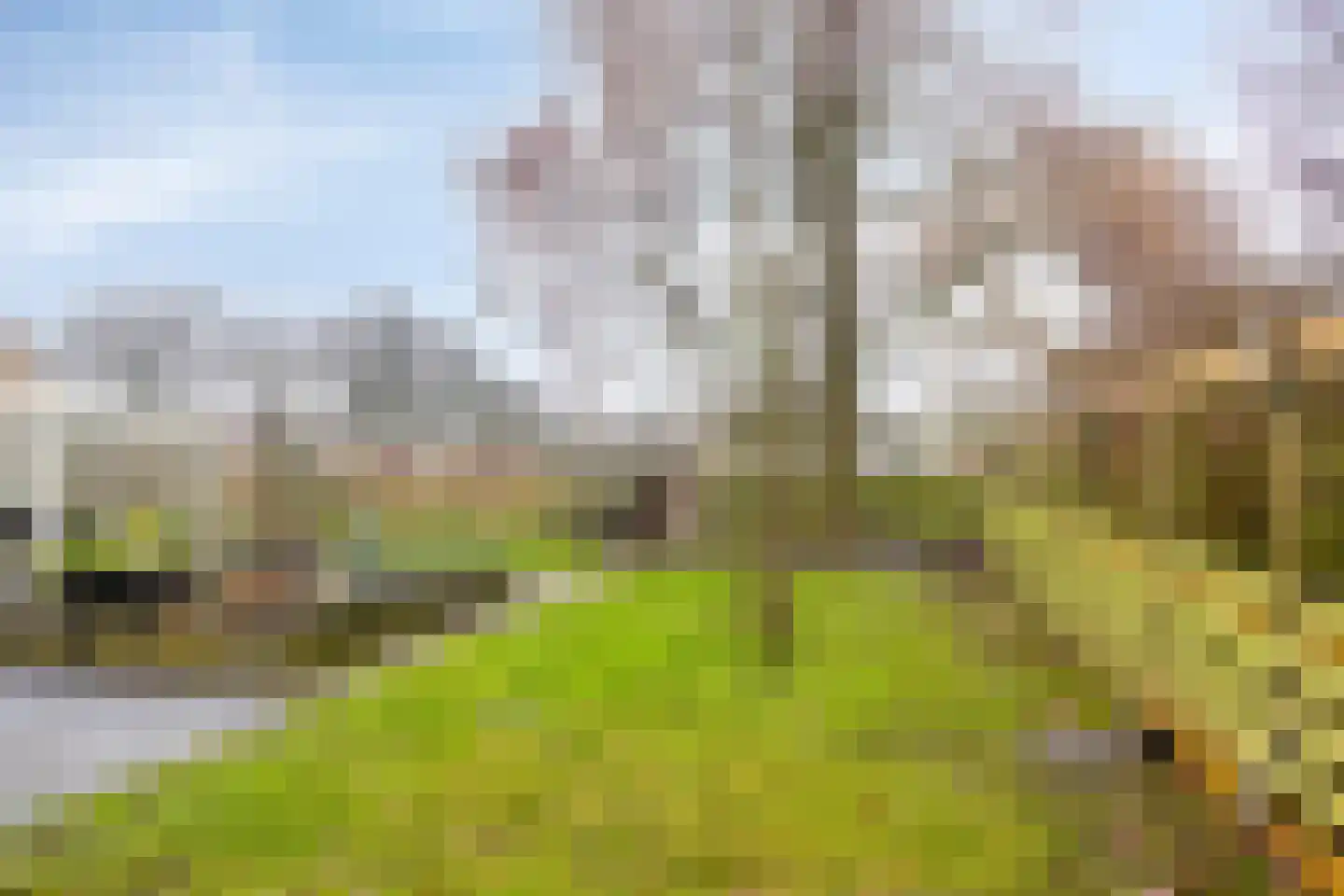 Diemenlaan 90 Emmeloord thumbnail 52